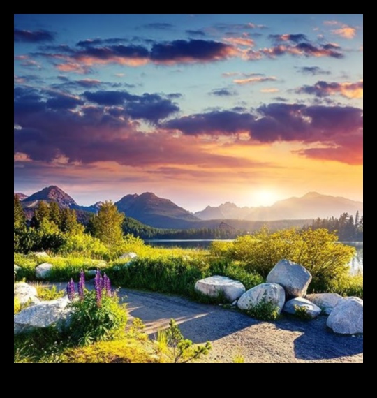 Serenity Symphony Ένας οδηγός για την αρμονική ζωή 3 Serenity Symphony: Harmonizing Life Your Life with Relaxation Techniques