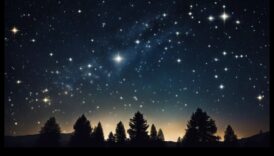 Cosmic Constellations: Mapping the Sky's Treasures