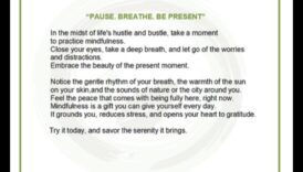 The Present Pause: A Breath in the Midst of Life's Hustle