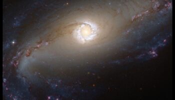 Galactic Ballet: Dancing Among the Stars in the Spiraling Milky Way