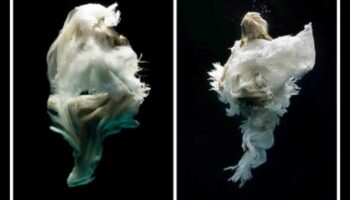 DIY Underwater Photography: Capturing the Subaquatic World